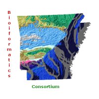 The Arkansas Bioinformatics Consortium
