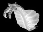 Anomalocaris