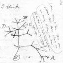 Darwins first evolutionary tree