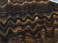 Lower Proterozic stromatolites from Bolivia
