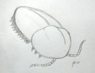 Soft Bodied Trilobite