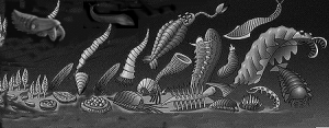 Cambrian Life
