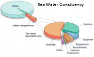 Sea Water Content Today