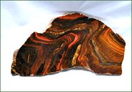 Stromatolite Banded Iron Deposit from Port Handford, Western Australia, more than 2 billion years old
