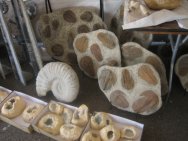 Fake Moroccan Trilobites