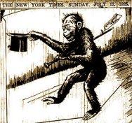 Newspaper comic regarding Scopes Monkey Trial