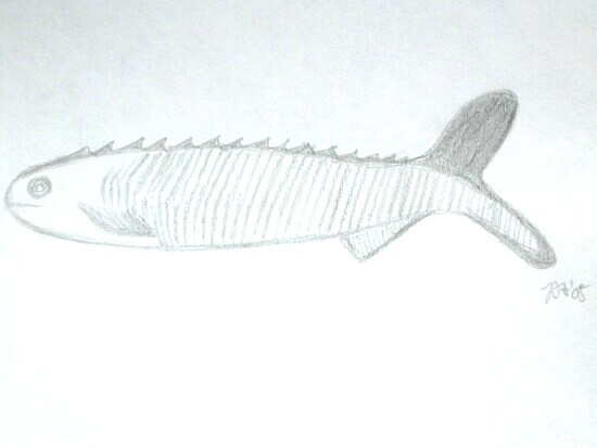 Jawless Fish 