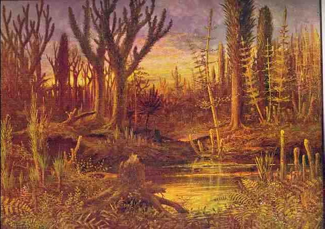 devonian period ferns