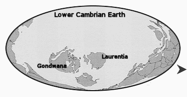 [Image: lowercambrian.gif]