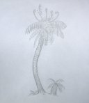Tree fern